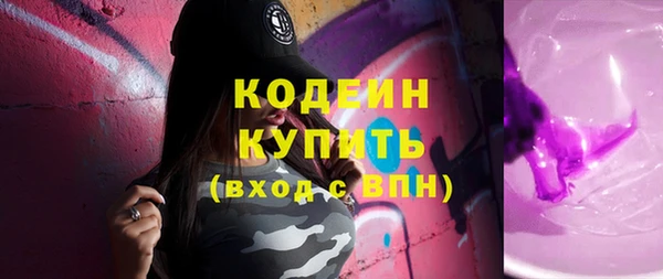 индика Орск