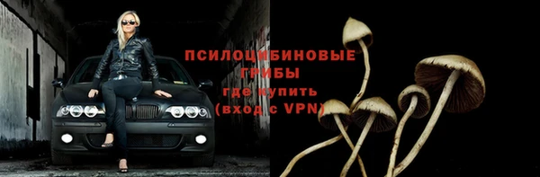 прущая мука Богородицк
