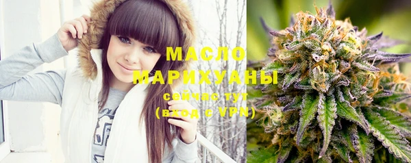 индика Орск