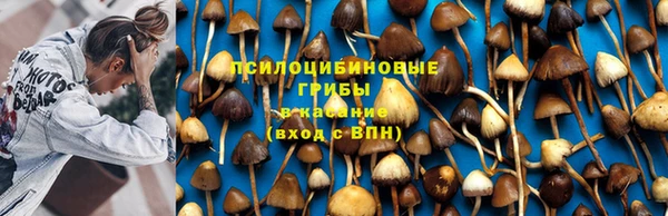 прущая мука Богородицк